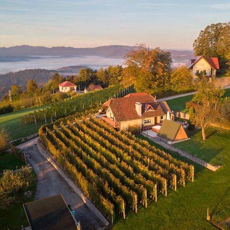 Vineyard Cottage Hocevar โนโวเมสโต ภายนอก รูปภาพ