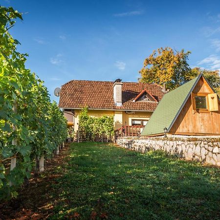 Vineyard Cottage Hocevar โนโวเมสโต ภายนอก รูปภาพ