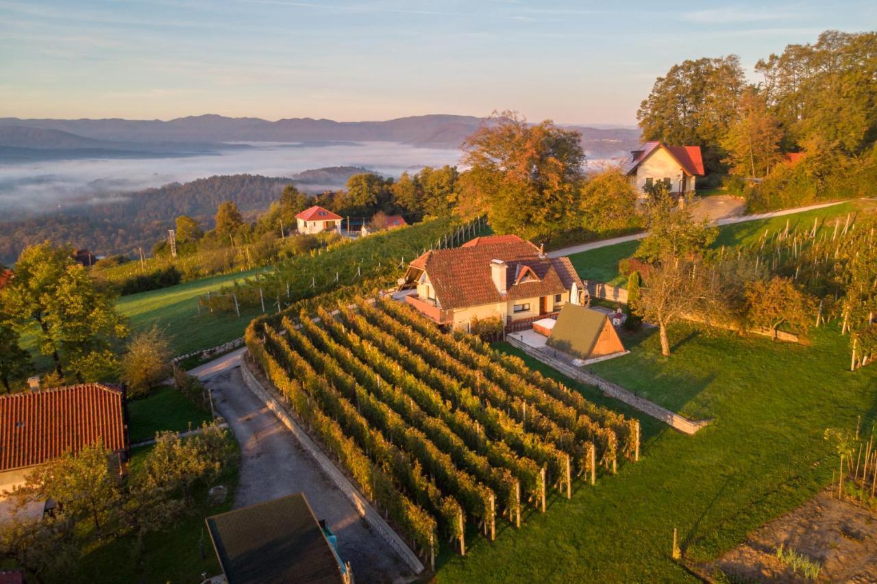 Vineyard Cottage Hocevar โนโวเมสโต ภายนอก รูปภาพ