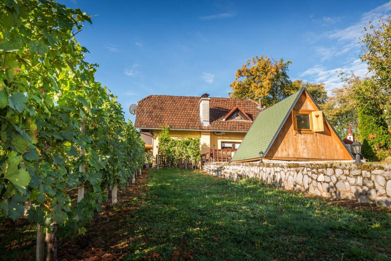 Vineyard Cottage Hocevar โนโวเมสโต ภายนอก รูปภาพ