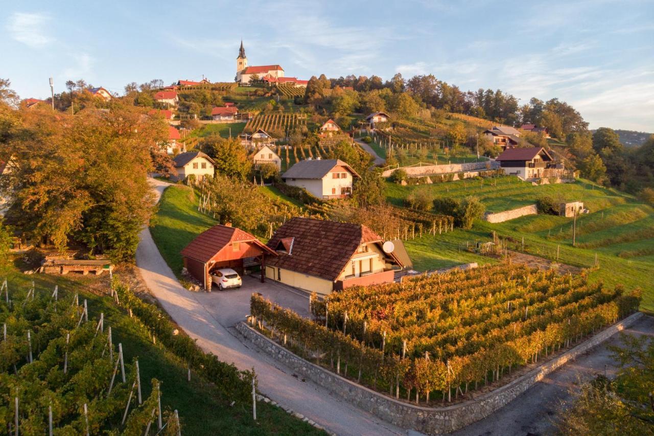 Vineyard Cottage Hocevar โนโวเมสโต ภายนอก รูปภาพ