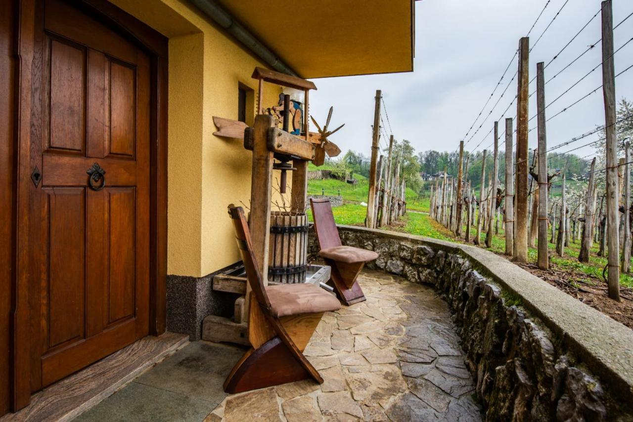 Vineyard Cottage Hocevar โนโวเมสโต ภายนอก รูปภาพ