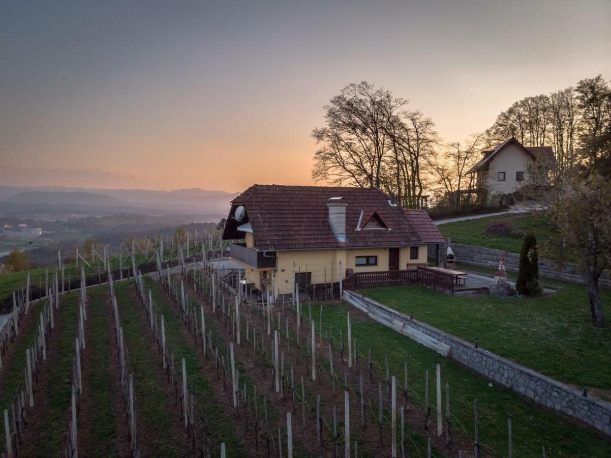 Vineyard Cottage Hocevar โนโวเมสโต ภายนอก รูปภาพ